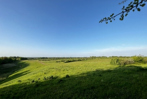 Sanierung und Renaturierung der Bahndeponie in Bookholzberg