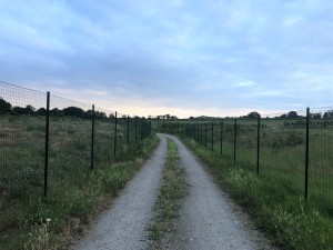 Sanierung und Renaturierung der Bahndeponie in Bookholzberg