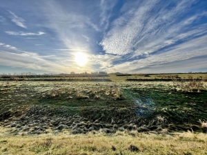Sanierung und Renaturierung der Bahndeponie in Bookholzberg