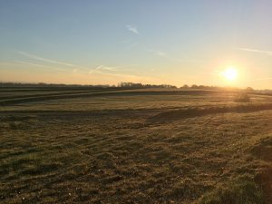 Sanierung und Renaturierung der Bahndeponie in Bookholzberg