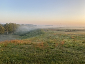 Sanierung und Renaturierung der Bahndeponie in Bookholzberg - Bahndeponie im Morgennebel