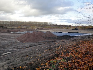 Sanierung und Renaturierung der Bahndeponie in Bookholzberg