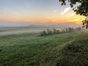 Sanierung und Renaturierung der Bahndeponie in Bookholzberg