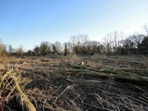 Sanierung und Renaturierung der Bahndeponie in Bookholzberg