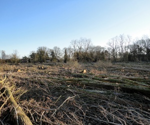 Sanierung und Renaturierung der Bahndeponie in Bookholzberg