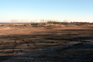 Sanierung und Renaturierung der Bahndeponie in Bookholzberg