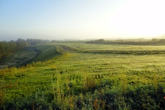 Die Bahndeponie in Rethorn/Bookholzberg