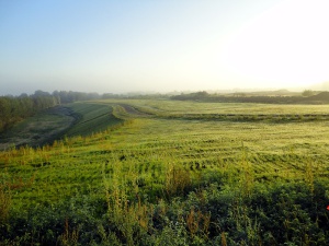 Sanierung und Renaturierung der Bahndeponie in Bookholzberg