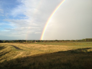 Sanierung und Renaturierung der Bahndeponie in Bookholzberg