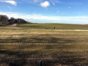 Sanierung und Renaturierung der Bahndeponie in Bookholzberg