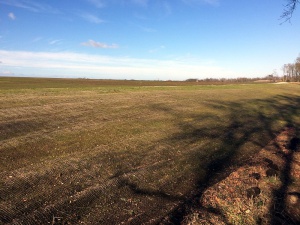Sanierung und Renaturierung der Bahndeponie in Bookholzberg