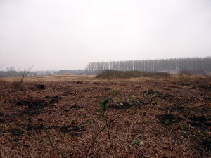 Sanierung und Renaturierung der Bahndeponie in Bookholzberg