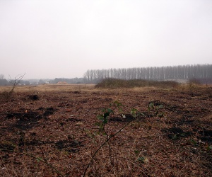 Sanierung und Renaturierung der Bahndeponie in Bookholzberg