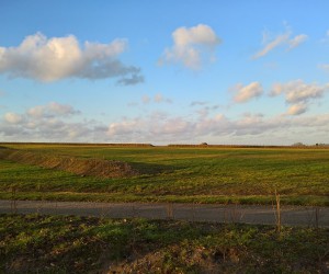 Sanierung und Renaturierung der Bahndeponie in Bookholzberg
