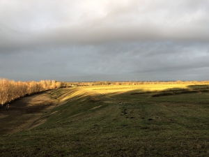 Sanierung und Renaturierung der Bahndeponie in Bookholzberg