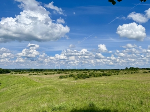 Sanierung und Renaturierung der Bahndeponie in Bookholzberg