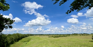Sanierung und Renaturierung der Bahndeponie in Bookholzberg
