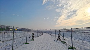 Sanierung und Renaturierung der Bahndeponie in Bookholzberg
