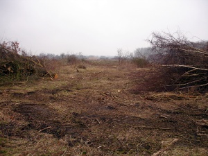 Sanierung und Renaturierung der Bahndeponie in Bookholzberg