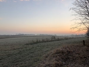 Sanierung und Renaturierung der Bahndeponie in Bookholzberg