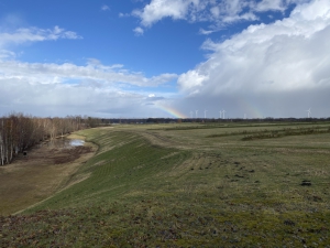 Sanierung und Renaturierung der Bahndeponie in Bookholzberg