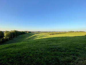 Sanierung und Renaturierung der Bahndeponie in Bookholzberg