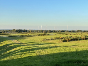 Sanierung und Renaturierung der Bahndeponie in Bookholzberg