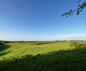 Sanierung und Renaturierung der Bahndeponie in Bookholzberg