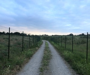 Sanierung und Renaturierung der Bahndeponie in Bookholzberg
