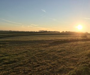 Sanierung und Renaturierung der Bahndeponie in Bookholzberg
