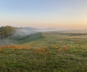 Sanierung und Renaturierung der Bahndeponie in Bookholzberg - Bahndeponie im Morgennebel