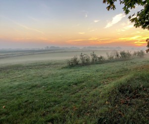 Sanierung und Renaturierung der Bahndeponie in Bookholzberg