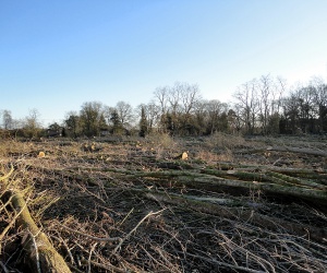 Sanierung und Renaturierung der Bahndeponie in Bookholzberg