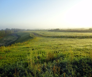 Sanierung und Renaturierung der Bahndeponie in Bookholzberg