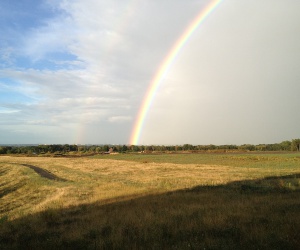 Sanierung und Renaturierung der Bahndeponie in Bookholzberg