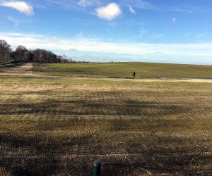 Sanierung und Renaturierung der Bahndeponie in Bookholzberg