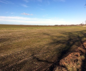 Sanierung und Renaturierung der Bahndeponie in Bookholzberg