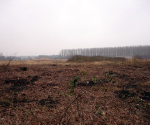 Sanierung und Renaturierung der Bahndeponie in Bookholzberg