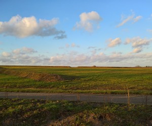 Sanierung und Renaturierung der Bahndeponie in Bookholzberg