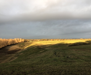 Sanierung und Renaturierung der Bahndeponie in Bookholzberg
