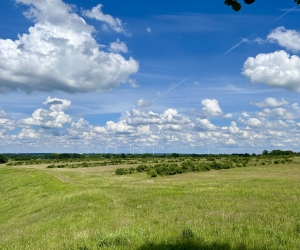 Sanierung und Renaturierung der Bahndeponie in Bookholzberg