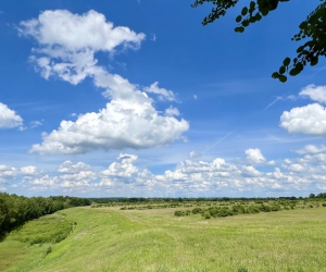 Sanierung und Renaturierung der Bahndeponie in Bookholzberg
