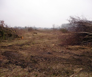 Sanierung und Renaturierung der Bahndeponie in Bookholzberg