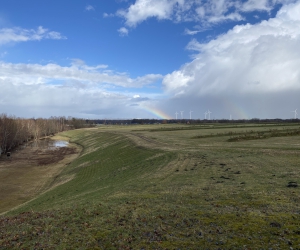 Sanierung und Renaturierung der Bahndeponie in Bookholzberg