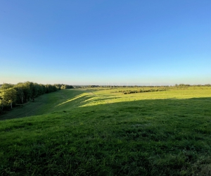 Sanierung und Renaturierung der Bahndeponie in Bookholzberg