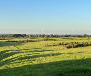 Sanierung und Renaturierung der Bahndeponie in Bookholzberg