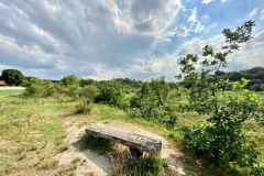 FingerTips & DaumenGrün