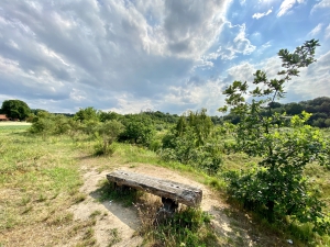 Das Projekt FingerTips & DaumenGrün in Rethorn