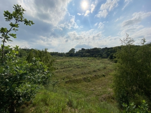 Das Projekt FingerTips & DaumenGrün in Rethorn