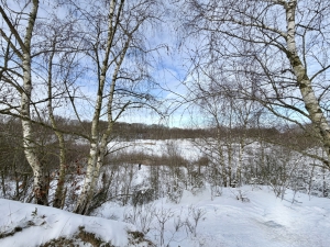 Fingertips & DaumenGrün 01/2026 - Foto: Kai de Barse